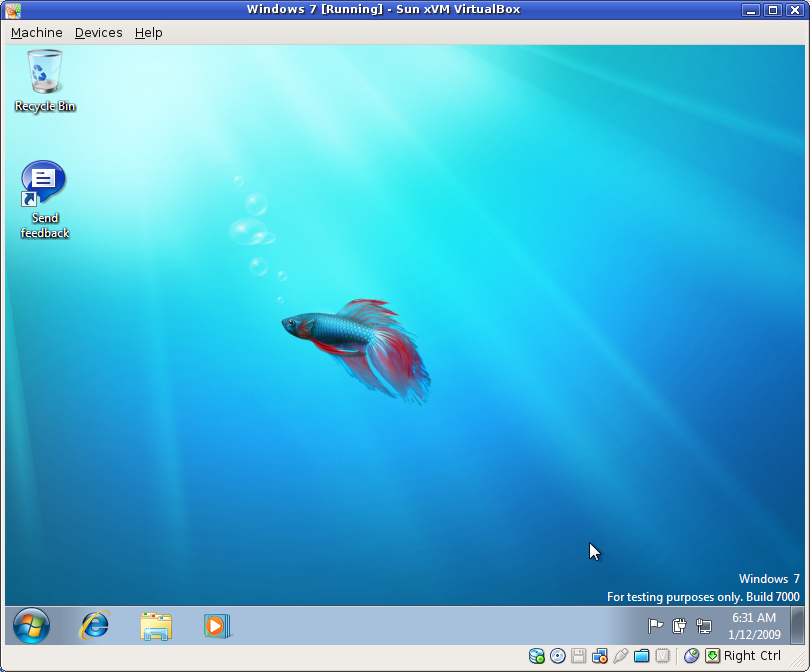 The desktop.... and a fish!!