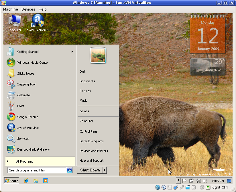 The classic Windows theme and a buffalo butt