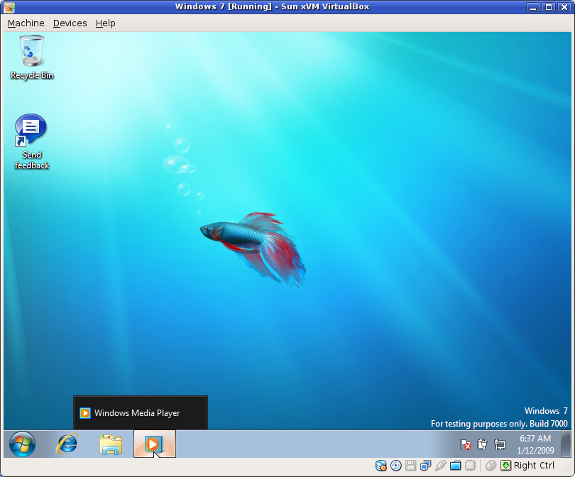 Captionless taskbar icons until you hover.